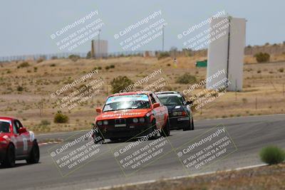 media/May-03-2025-Lucky Dog Racing (Sat) [[206de64b9d]]/Turn 6 (150pm-230pm)/